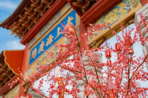 Transform Your Outdoor Space with These Spring Décor Trends