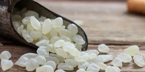 This Swallowable “Beauty Gum” Is Gaining Attention for Gut Health
