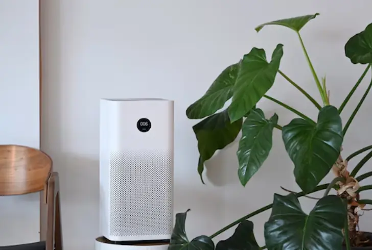 Air purifier at home